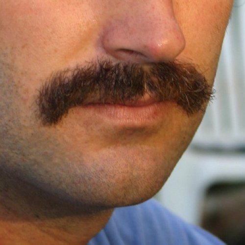 droogie911's profile picture. 