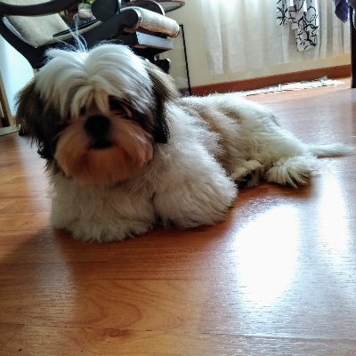 YahwehMi's profile picture. 