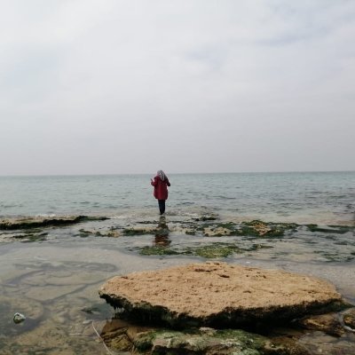 HudaFarhat7's profile picture. #Expert #Palestinian Refugee
#Palestine will be free 🇵🇸 #LeagueOfLegends - #Runescape
(She/Her)