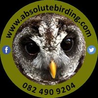 ABSOLUTE BIRDING (@absolutebirding) 's Twitter Profile
