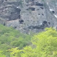 سمحان (@bkhit55) 's Twitter Profile