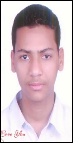 money2you9's profile picture. make money online
profit from internet