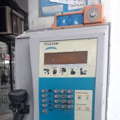 canichevioleta's profile picture. 