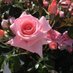 @GIN42021074