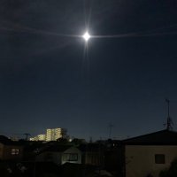 りすけ (@stockxzzz) 's Twitter Profile Photo