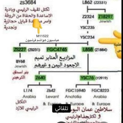 M11522 تحور جيني عليه(ال البيت) ينحدر من السلالهJ1m267 ويتفرع من التحورYsc234-عليه مواريث عدنانيه هاشميه من الفروع العباسيه والعلويه