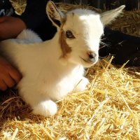 Can Terrades (@jmsauri) 's Twitter Profile Photo Can Terrades (@jmsauri) 's Twitter Profile Photo