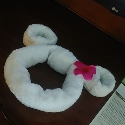 030ghh's profile picture. 成人済み社会人30↑。刀→膝丸・松井江、ツイステ→アズールのグッズ回収中。たまに舞台関係も。詳しくはツイフィご覧下さい。