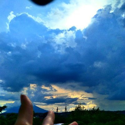 Termimator_31's profile picture. 