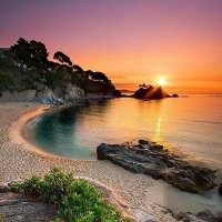 andy (@cryptoandy) 's Twitter Profile