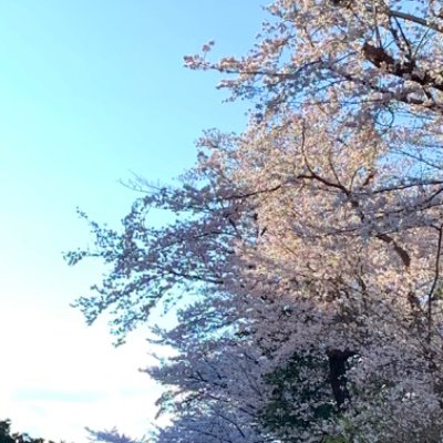 見習いエンジニア
