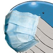 william johansson (@blodsteel) 's Twitter Profile Photo william johansson (@blodsteel) 's Twitter Profile Photo