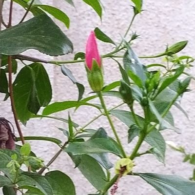 chennur_chetan's profile picture. An Influencer