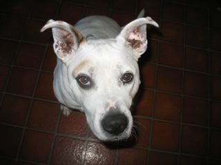 robshomper's profile picture. ridiculously judgmental