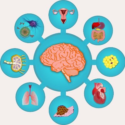 A weekly virtual seminar series exploring the interface between neuroscience and other biological disciplines. In association with https://t.co/xCS1SRVDoG