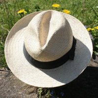 David Stainforth (@climatehat) 's Twitter Profile Photo David Stainforth (@climatehat) 's Twitter Profile Photo