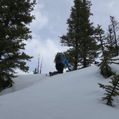 DeirdreDL's profile picture. Single mom! Scientist. Love hiking, and getting active with, and without my kidlets. Learning to live life to the fullest. Tweets on anything that interests me