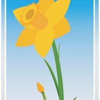 SPRING therapeutic services (@springtherapeu1) 's Twitter Profile