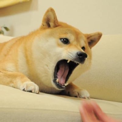 m4m0n_'s profile picture. 