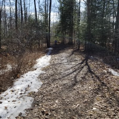 ThePatMan83's profile picture. 