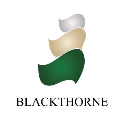 Blackthorne is an alternative data investment management firm specializing in absolute-return trading strategies and research within financial markets.