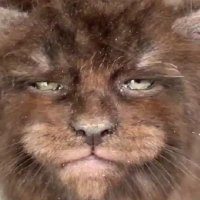 Кот_ Кокос и Мышь_ Гашиш 🇷🇺™ (@kotkokosgashish) 's Twitter Profile