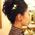 茉莉花茶 (@molihuat) Twitter profile photo