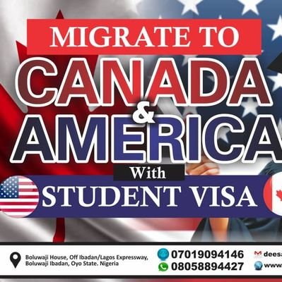 Education and immigration consultant