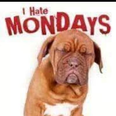 mattiMcPatti's profile picture. Corrupt government needs to GO. Animal lover they never disagree with me. Food lover as long as I don't cook it. Wine and Gin keeps my sanity. Twitter for rants