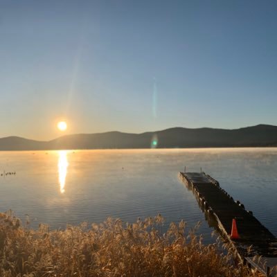 現在収益0円。数年後に見た時の成長の記録になればいいと思っています。まずは情報を集めるところから。正確な情報を得るために指導者を探しています。