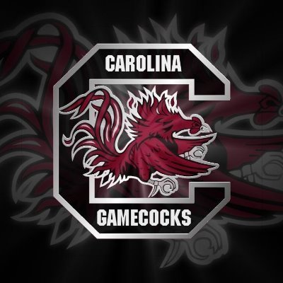 Carolinanitro1's profile picture. GO COCKS!!!