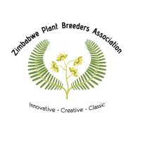 Zimbabwe Plant Breeders Association (@zpba_official) 's Twitter Profile