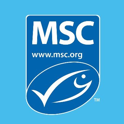 MSC Bluefish 🐟 US & Canada 🇺🇸 🇨🇦