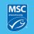 MSCbluefish