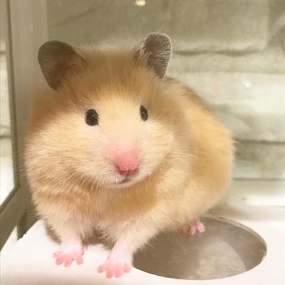 FPattkorn's profile picture. 