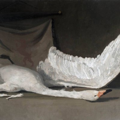 Swan Profile