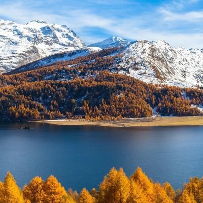 anguwo's profile picture. 