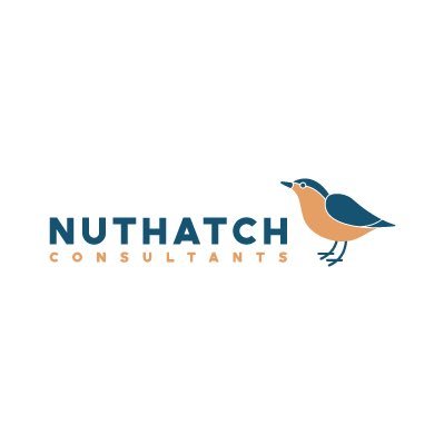 NuthatchConsul1 Profile Picture