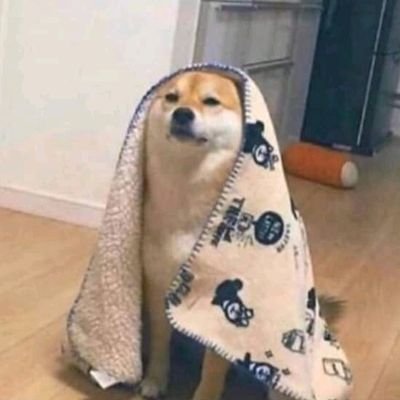 LeoLinkBianco's profile picture. just a guy being a dude