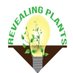 Dr. Margaret Young🧬🪴 (@revealplant) Twitter profile photo Dr. Margaret Young🧬🪴 (@revealplant) Twitter profile photo