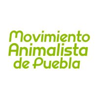 Movimiento Animalista de Puebla(@MovimientoAP) 's Twitter Profile Photo