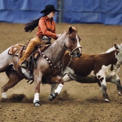 Got a Twitter just to get into fights with barrel racers... Don’t mind me
