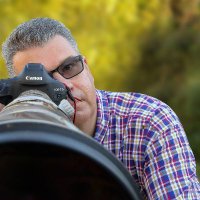 Mark Tyrrell (@marktyrrell66) 's Twitter Profile Photo Mark Tyrrell (@marktyrrell66) 's Twitter Profile Photo