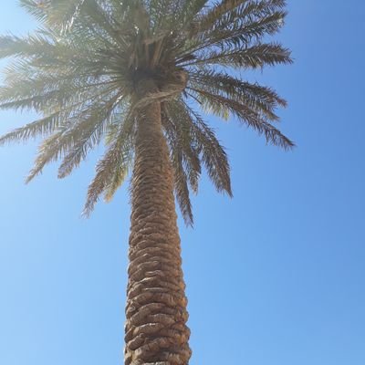 mxauvUiem5FX6rI's profile picture. 