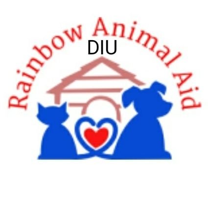 rainbowanimlaid's profile picture. Registered Under Section 29, Society Registration Act 1860.
Not-For-Profit Animal Charity 🐾.
Guardian/Voice of Voiceless 🐷🐶🐱🐄.
#adoptdontshop