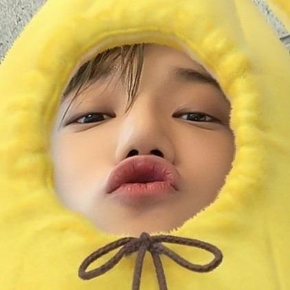 allthelove4nini's profile picture. FAN ACCOUNT.