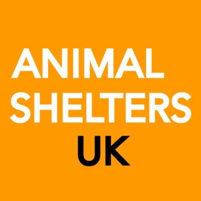 An online hub giving you up-to-date info on the UK's independent animal shelters. 100% free :) Come join us! Launching 10 June 🐾 email kate@animalshelters.uk
