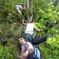 Tri Sugianto (@nggotra) 's Twitter Profile