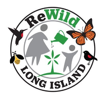 Rewild Long Island is a local grassroots movement of neighbors helping neighbors adopt sustainable gardening practices focused on native perennials.