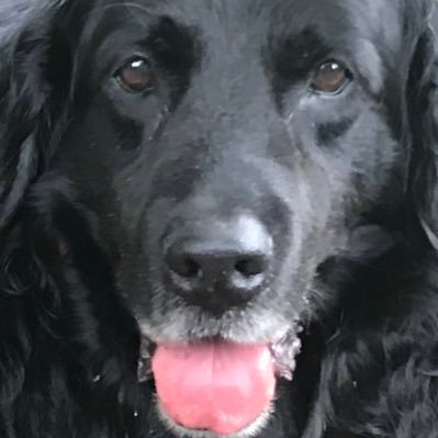 PeegToomy's profile picture. a joke account - twitter/pronouns